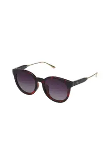 MINI Cooper Women Oval Sunglasses with Polarised and UV Protected Lens M38028-065P 53 S