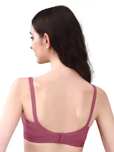 Exotica Lingerie Bra Full Coverage