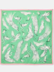 Attire Empire Women Printed Scarf