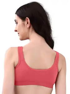 Exotica Lingerie Bra Full Coverage