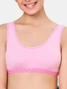 MAROON Bra Full Coverage