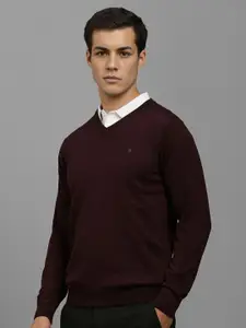 Louis Philippe Men V-Neck Pullover Sweater