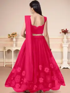 F Plus Fashion Multi Net Lehenga Choli