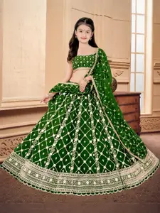 F Plus Fashion Multi Net Lehenga Choli