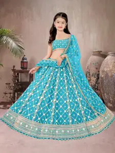F Plus Fashion Black Net Lehenga Choli