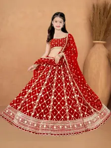 F Plus Fashion Multi Net Lehenga Choli