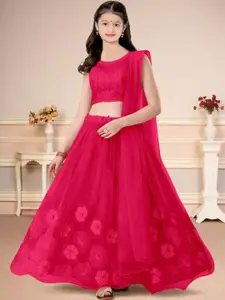 F Plus Fashion Multi Net Lehenga Choli