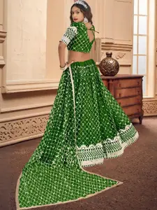 F Plus Fashion Black Net Lehenga Choli