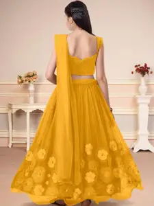 F Plus Fashion Multi Net Lehenga Choli