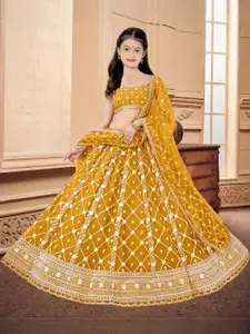 F Plus Fashion Multi Net Lehenga Choli