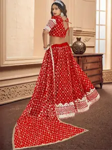 F Plus Fashion Multi Net Lehenga Choli