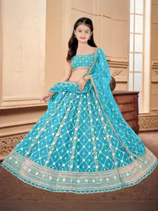 F Plus Fashion Multi Net Lehenga Choli