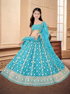 F Plus Fashion Multi Net Lehenga Choli