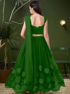 F Plus Fashion Pink Net Lehenga Choli