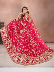 F Plus Fashion Multi Net Lehenga Choli