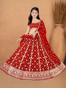 F Plus Fashion Multi Net Lehenga Choli