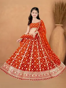 F Plus Fashion Multi Net Lehenga Choli