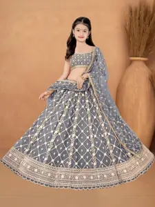 F Plus Fashion Multi Net Lehenga Choli