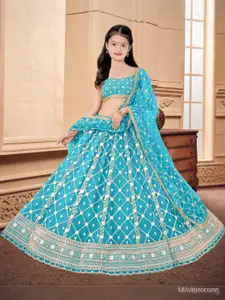 F Plus Fashion Multi Net Lehenga Choli