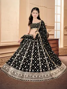 F Plus Fashion Multi Net Lehenga Choli