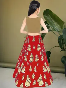 F Plus Fashion Multi Satin Lehenga Choli