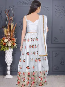 F Plus Fashion Multi Net Lehenga Choli