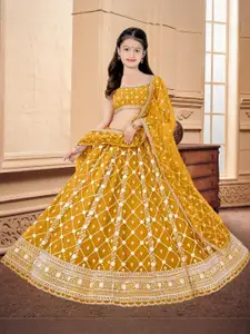 F Plus Fashion Multi Net Lehenga Choli