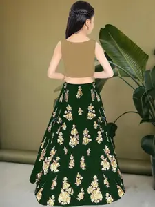 F Plus Fashion Multi Net Lehenga Choli