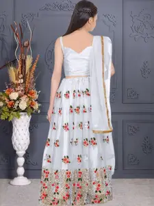 F Plus Fashion Multi Net Lehenga Choli