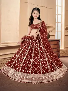 F Plus Fashion Multi Net Lehenga Choli