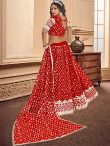 F Plus Fashion Multi Net Lehenga Choli