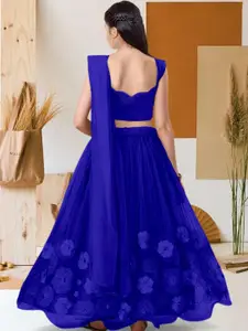 F Plus Fashion Multi Net Lehenga Choli