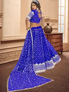 F Plus Fashion Multi Net Lehenga Choli