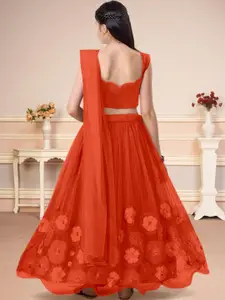 F Plus Fashion Multi Net Lehenga Choli