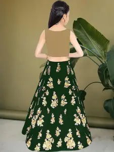 F Plus Fashion Multi Net Lehenga Choli