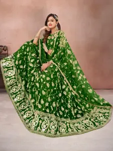 F Plus Fashion Multi Net Lehenga Choli