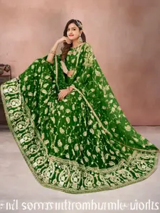 F Plus Fashion Multi Net Lehenga Choli