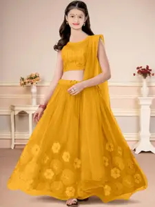 F Plus Fashion Multi Net Lehenga Choli