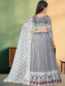 F Plus Fashion Net Semi-Stitched Lehenga Choli