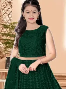 F Plus Fashion Net Semi-Stitched Lehenga Choli