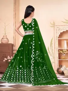 F Plus Fashion Net Semi-Stitched Lehenga Choli