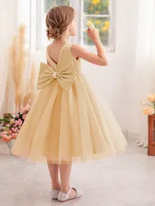 INCLUD Fit & Flare Dress