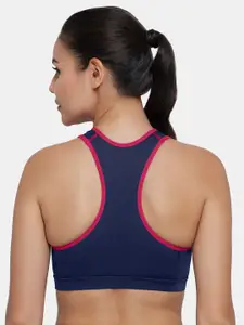 Amante Blue & Pink Non Padded Sports Bra