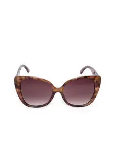 ALDO Women Brown Lens & Brown Cateye Sunglasses