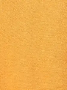 Coolsters by Pantaloons Boys Orange Cotton Sweatshirt