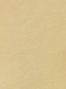 Ajile by Pantaloons Men Beige Solid Cotton Track Pants