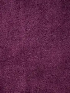 Ajile by Pantaloons Women Purple Solid Sweatshirt