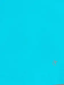 KiddoPanti Boys Blue Cotton Shorts