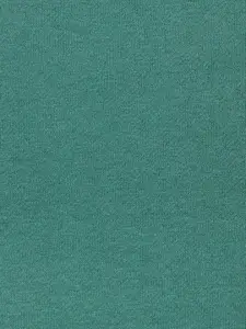 SF JEANS by Pantaloons Men Green Cotton  Sweatshirt