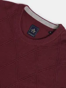 Arrow Men Round Neck Textured Knit Sweater
